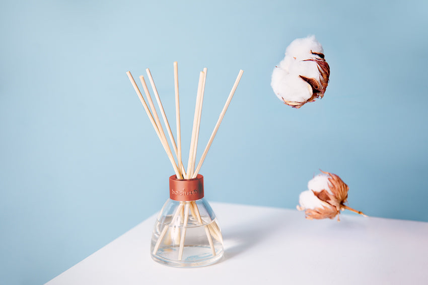 Bolsius Fragrance sticks