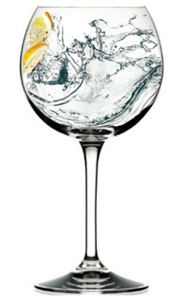 Gin Glasses