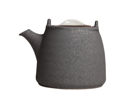 Cast Iron Teapot