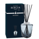 Maison Berger Fragrance sticks Terra Noire (without home perfume)