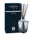 Maison Berger Fragrance sticks Terra Noire (without home perfume)