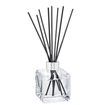 Maison Berger Fragrance sticks Agaves Garden 125 ml