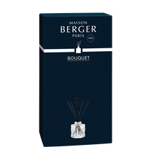 Maison Berger Fragrance sticks Spiral Transparent