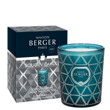 Maison Berger Scented candle Geode Bleue Underneath the Olive Tree