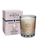 Maison Berger Scented Candle Joy Agaves Garden