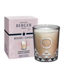 Maison Berger Scented Candle Joy Agaves Garden