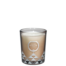 Maison Berger Scented Candle Joy Agaves Garden