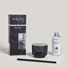 Maison Berger Fragrance sticks Gray Variation - 180 ml