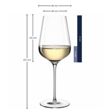 Leonardo White Wine Glasses Brunelli - 470 ml - 6 pieces