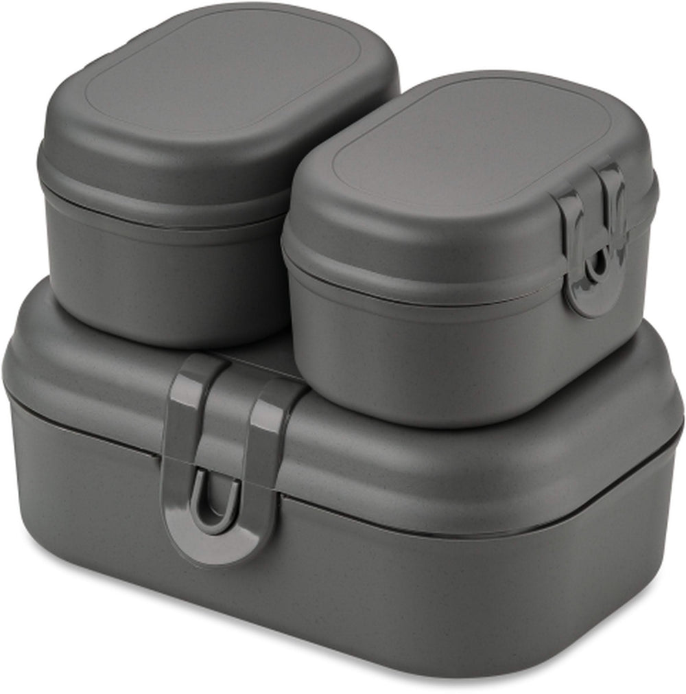 Koziol Snack Box Set Pascal Gray 3-Piece