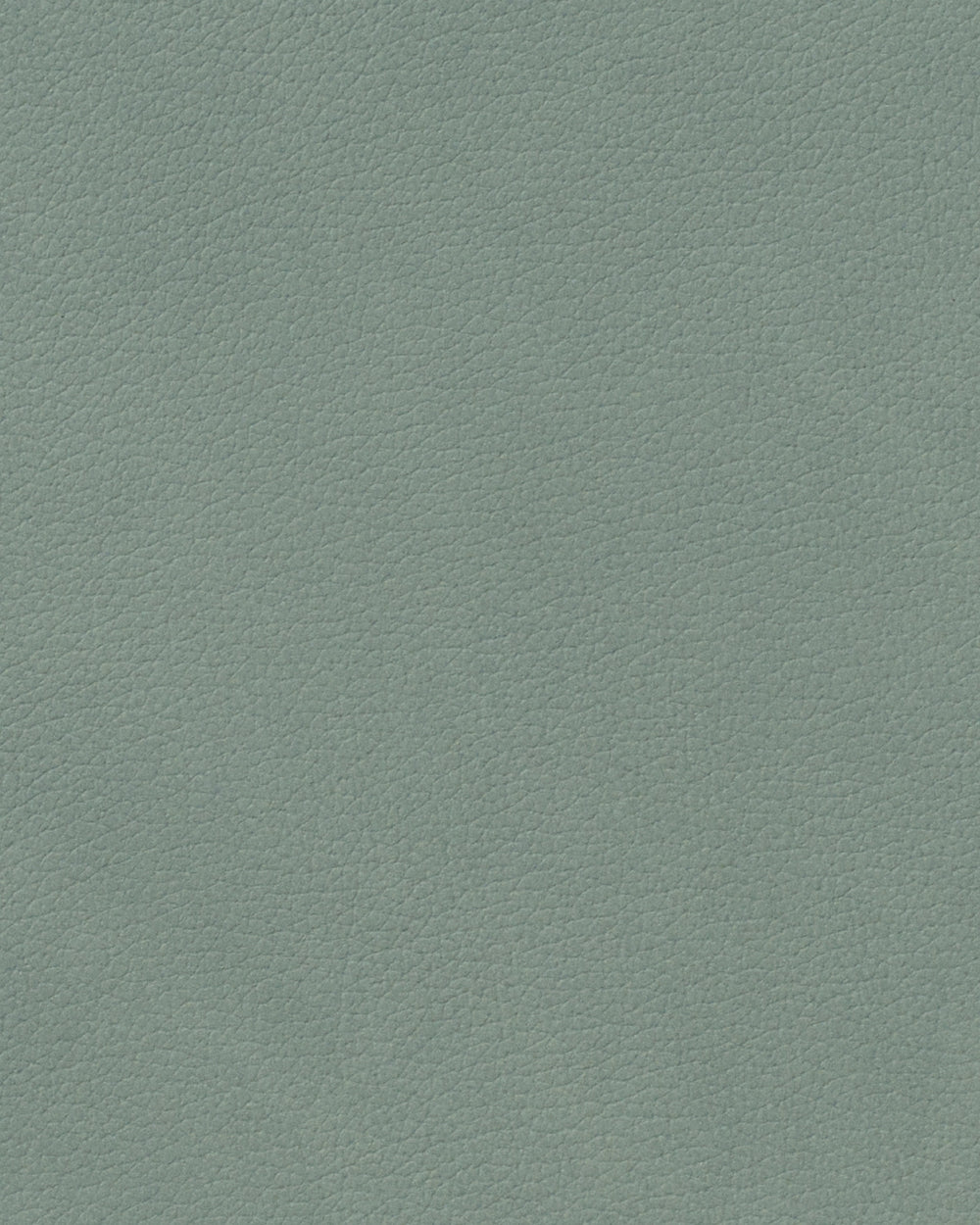 LIND DNA Placemats Nupo - Leather - Pastel Green - Curved - 44 x 37 cm - 2 pieces