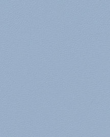 LIND DNA Placemats Nupo - Leather - Light Blue 45 x 35 cm - 2 Pieces