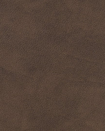 LIND DNA Placemats Nupo - Leather - Dark Brown - 45 x 35 cm - 2 pieces