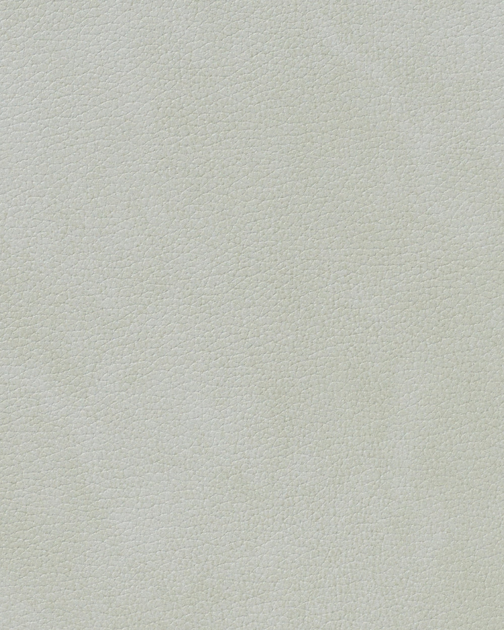 LIND DNA Placemats Nupo - Leather - Metallic - Curved - 44 x 37 cm - 2 pieces