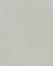 LIND DNA Placemats Nupo - Leather - Metallic - Curved - 44 x 37 cm - 2 pieces