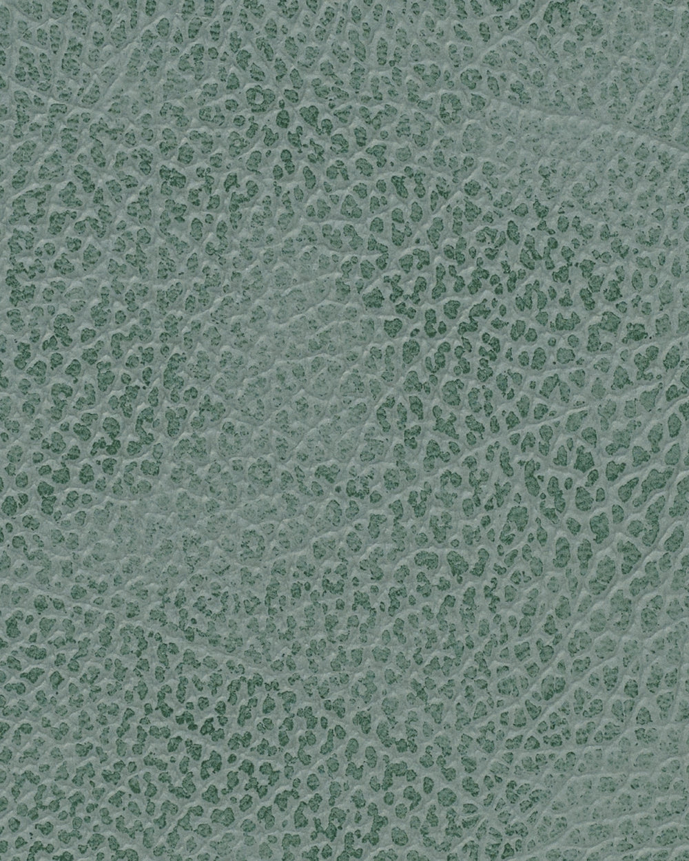 LIND DNA Placemats Hippo - Leather - Pastel Green - Curved - 44 x 37 cm - 2 Pieces