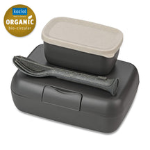 Koziol Lunchbox with Cutlery Set Candy Gray