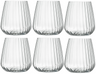 Luigi Bormioli Water Glasses - Tumblers - Speakeasies - 450 ml - 6 Pieces