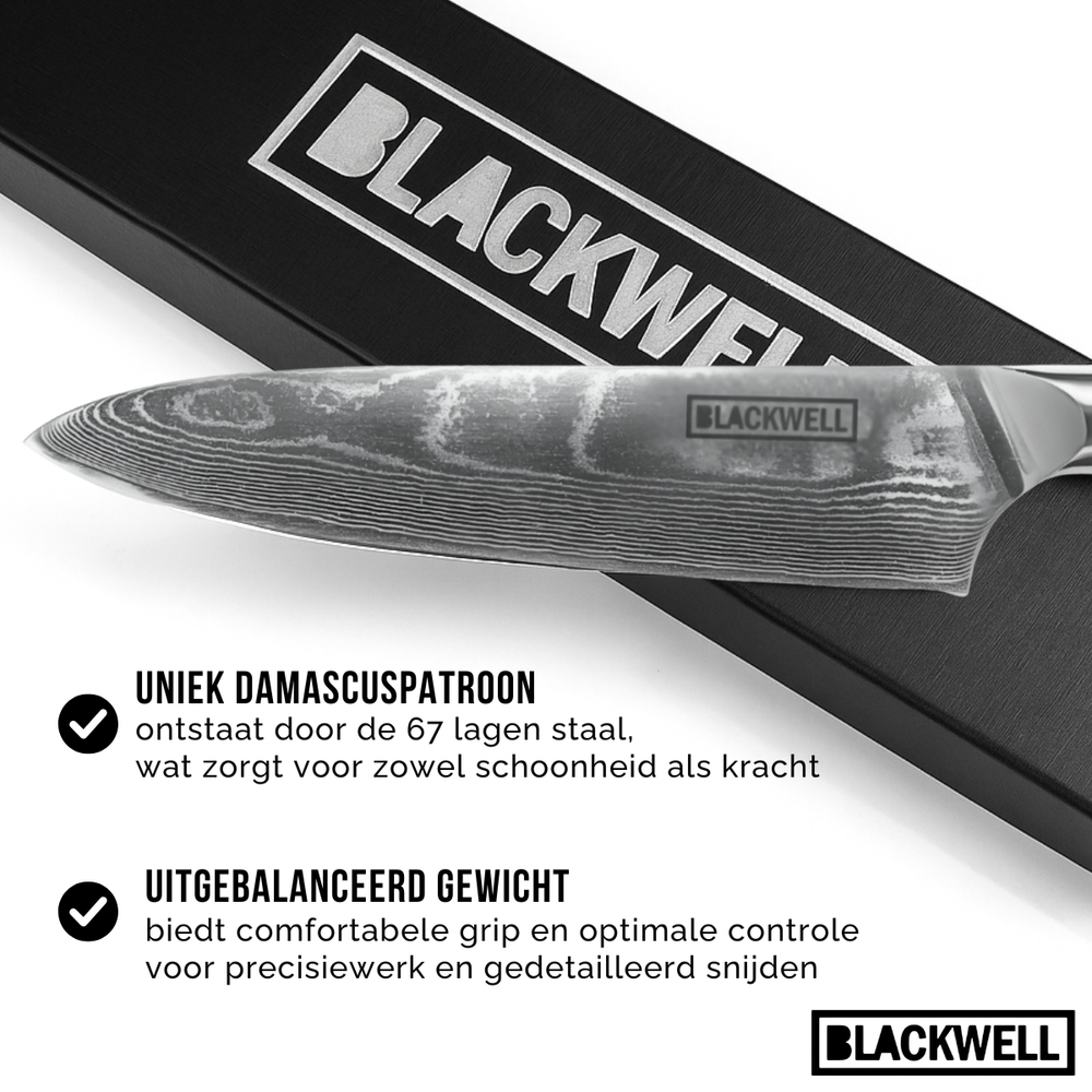 Blackwell Knife Set (Chef's knife + vegetable knife/Nakiri) - Japanese style - 67 layers damask steel - VG10 - 2-piece