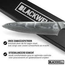Blackwell Knife Set (Chef's knife + vegetable knife/Nakiri) - Japanese style - 67 layers damask steel - VG10 - 2-piece