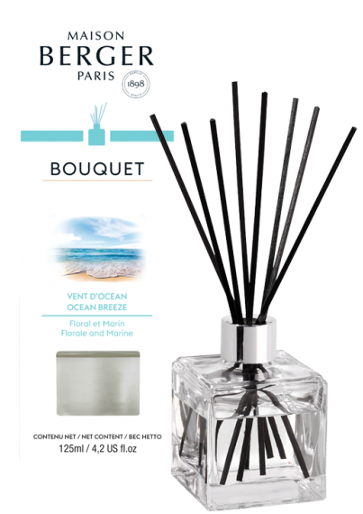 Maison Berger Fragrance sticks Ocean Breeze 100 ml