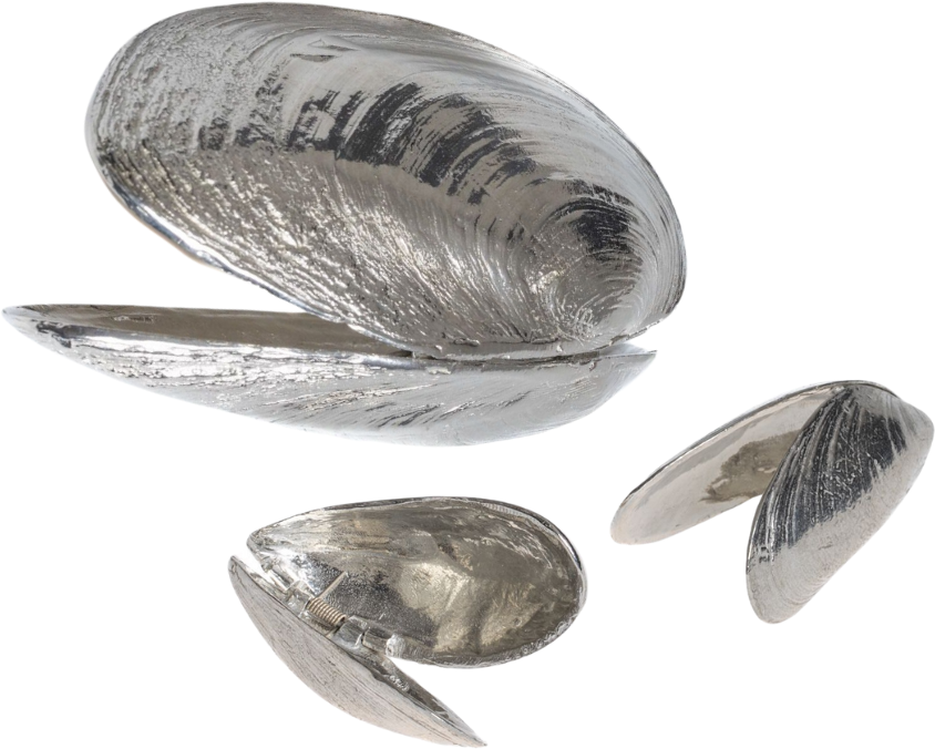 Anovi Mussel cutlery 2-piece with Anovi Mussel scoop