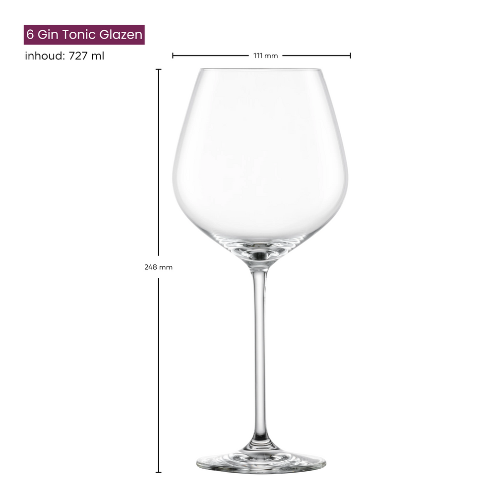 Schott Zwiesel Wine Glasses Fortissimo - Set 18 Piece - White and Red Wine Glasses & Gin Tonic Glasses