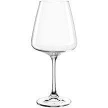 Leonardo White Wine Glasses Paladino - 540 ml - 6 pieces