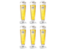 Warsteiner Beer glasses on Foot - 300 ml - 6 pieces