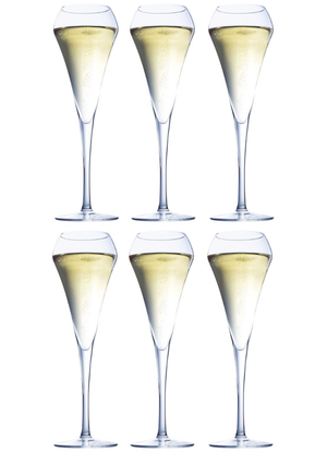 Chef & Sommelier Champagne glasses Open Up - 200 ml - 6 pieces