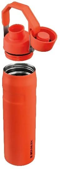 Stanley Water Bottle The Aerolight IceFlow Fast Flow - Tigerlily Plum - 600 ml