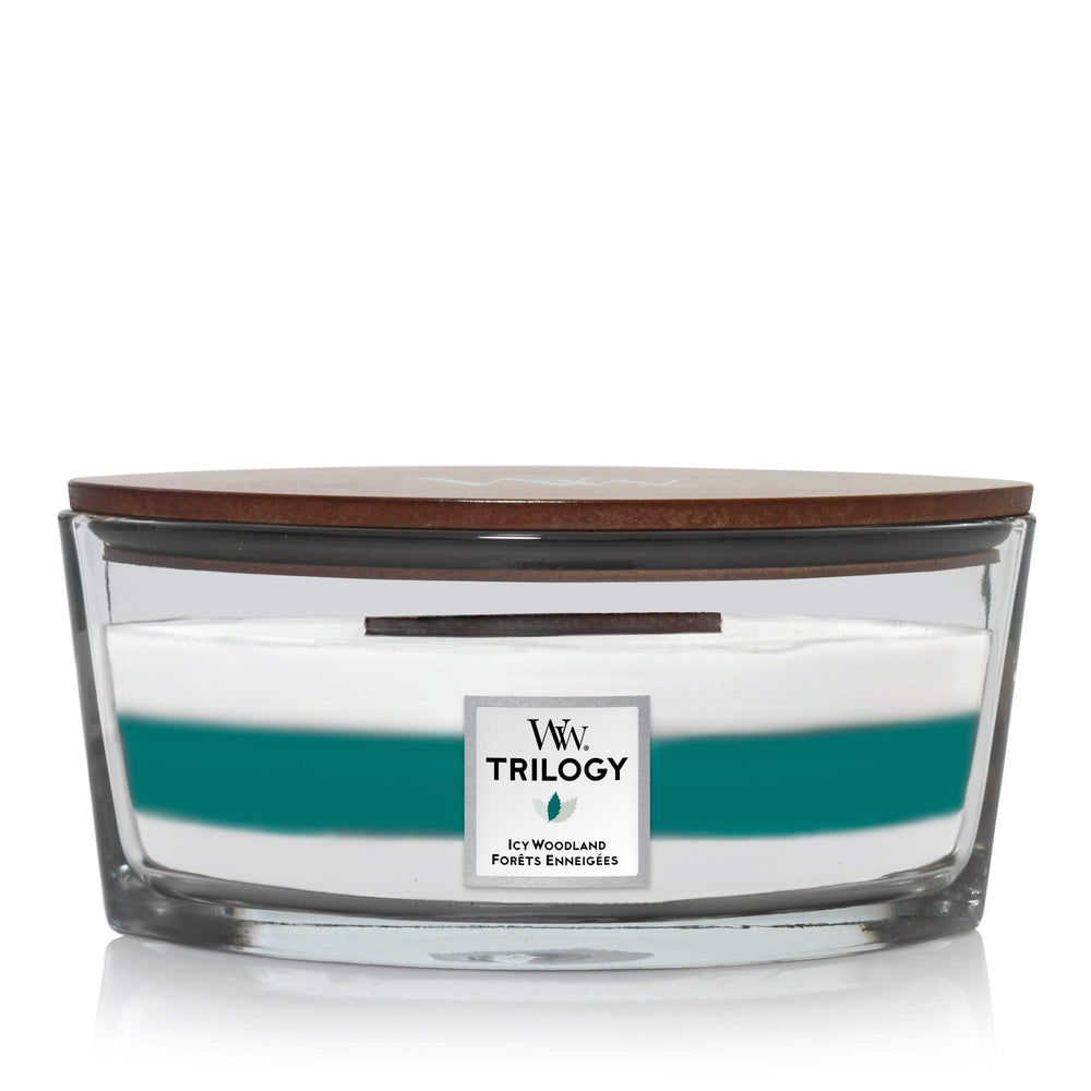 WoodWick Scented Candle Ellipse Icy Woodland Trilogy - 9 cm / 19 cm - Scented Candle in Glass - Wooden Wick