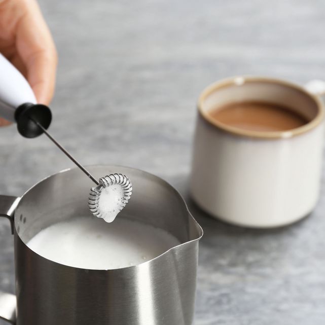 The type of milk frother