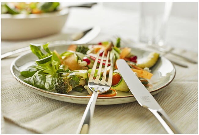 【新品】ZWILLINGCOOKWARESET ZWILLING Cutlery set Nova - 24-piece buy | Cookinglife