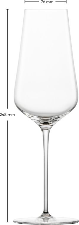 Zwiesel Glass Champagne Glasses Duo - 378 ml - 2 pieces