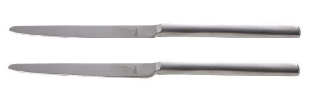 Amefa Table knife Ventura - 2 Pieces