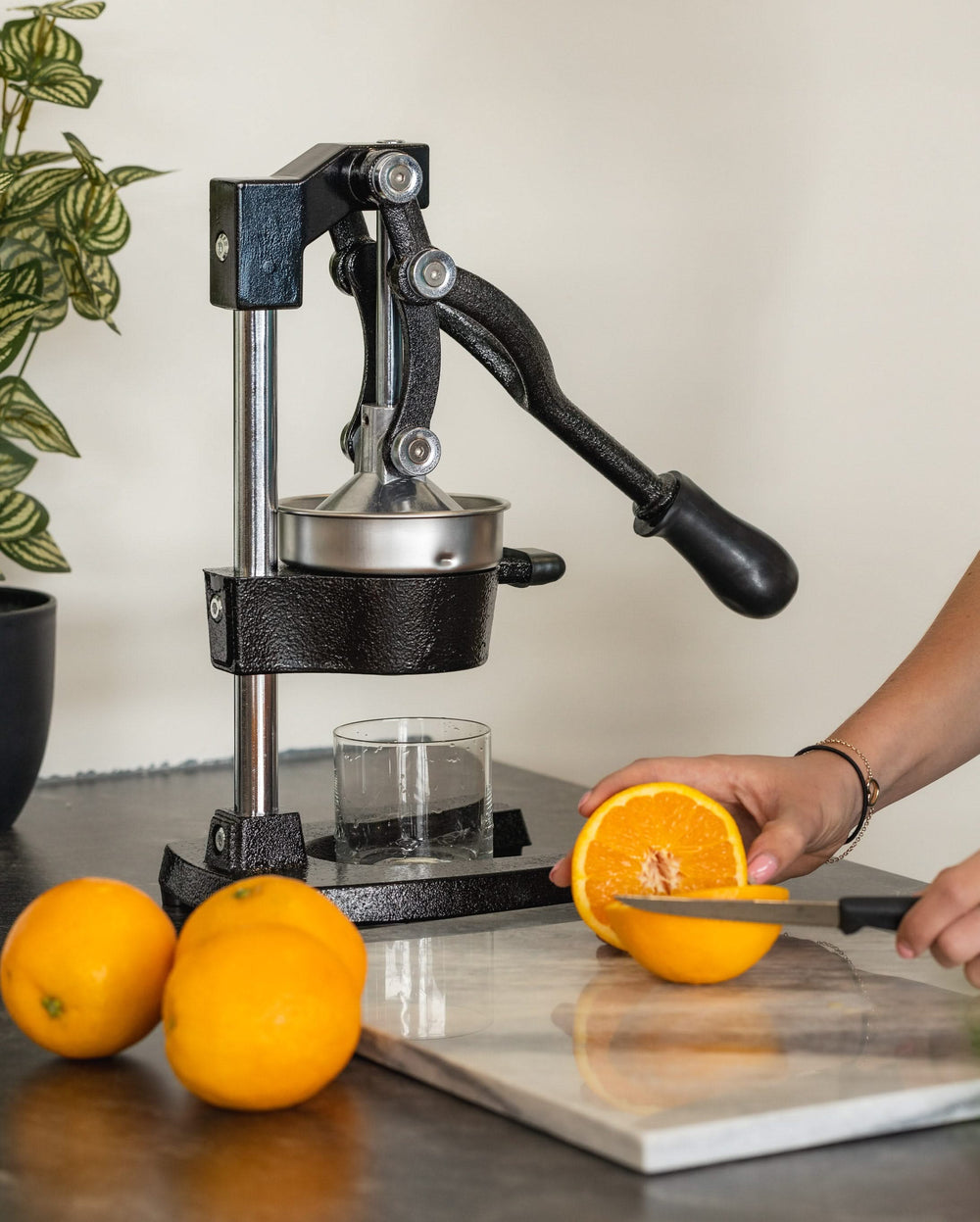 Sareva Citrus juicer - Cast iron - Lever model - Black