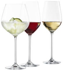 Schott Zwiesel Wine Glasses Fortissimo - Set 18 Piece - White and Red Wine Glasses & Gin Tonic Glasses