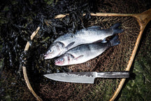 Forged Chef's knife Intense 20.5 cm