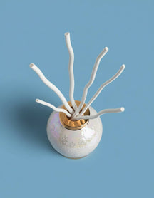 Maison Berger Fragrance Sticks Willow Wood Refills - for Fragrance Sticks - Perfume Stick - 24 cm