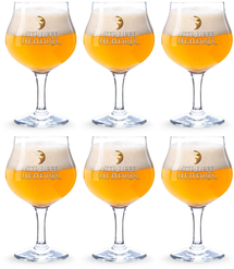 Straffe Hendrik Beer glass - 250 ml - 6 pieces