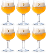 Straffe Hendrik Beer glass - 250 ml - 6 pieces