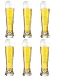 Warsteiner Beer glasses Premium - 200 ml - 6 pieces